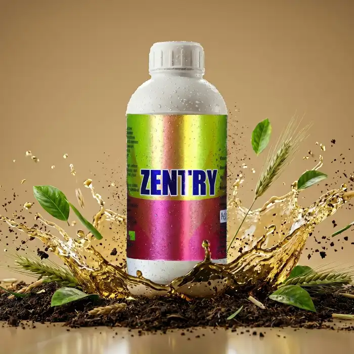 Zentry