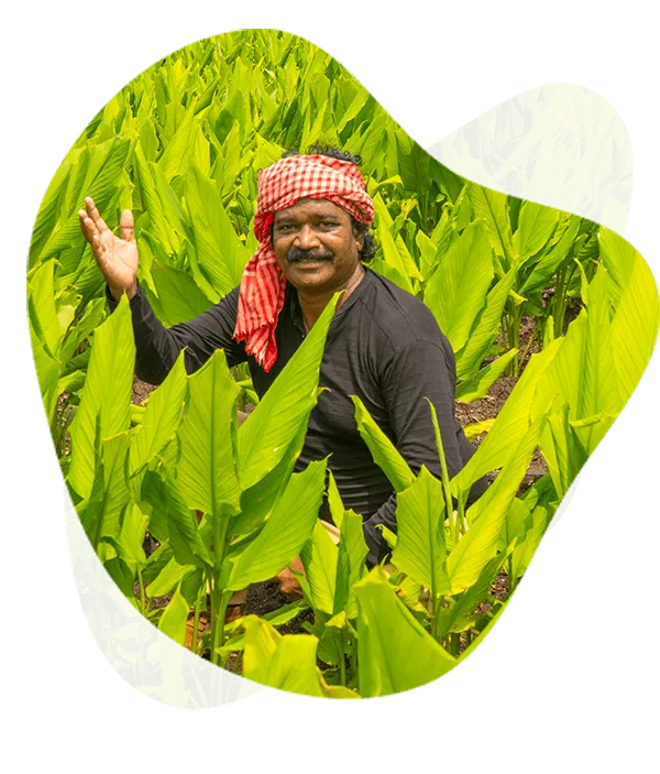 Indochem Agrovet field team with farmers in an organic crop