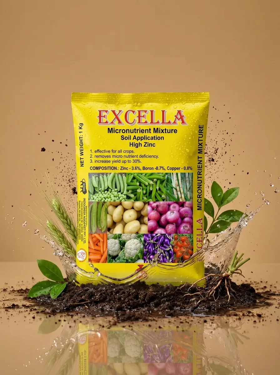 Excella